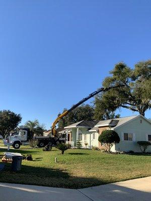 Always Trimming Tree Specialists