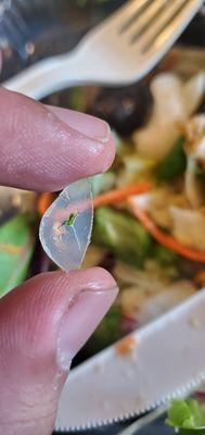 Found a little surprise in my chicken breast salad.