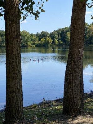 Carter Lake