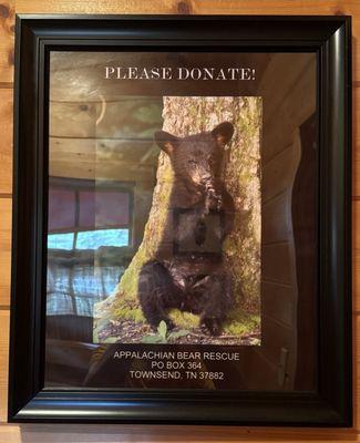 Donate to help the bears.