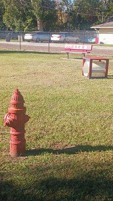 Fire hydrant in a few agility items and a bench