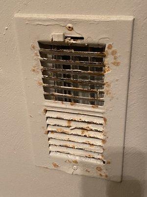 Mold? Water damage? Moisture