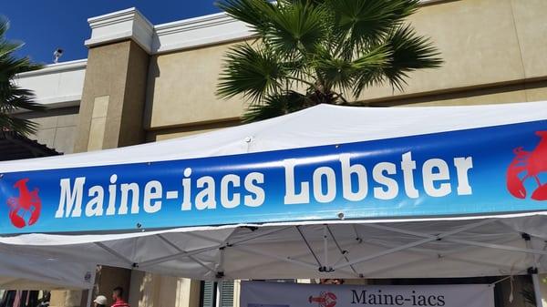 Maine-iacs can be found at all of the tampa bay markets farmers markets.