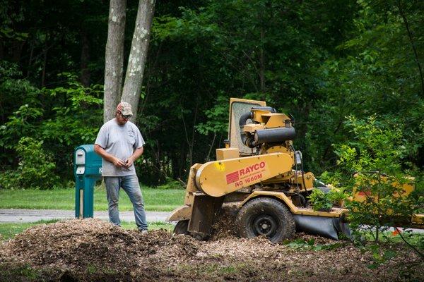 Campbell Tree Service