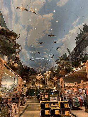 Bass Pro Shops