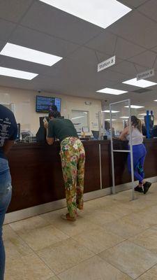 Florida Department of Motor Vehicles