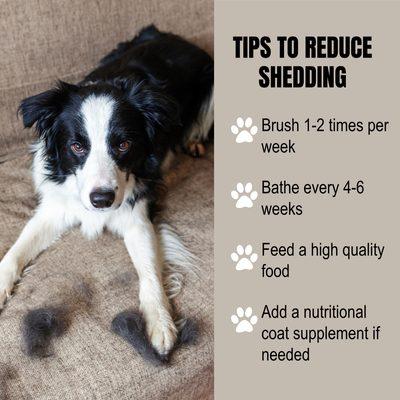 Shedding Tips