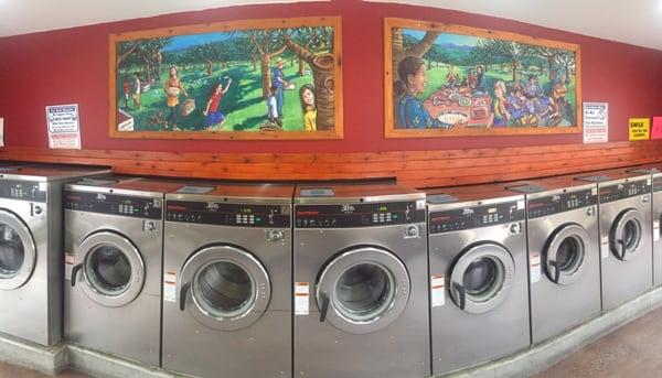 Come for your laundry, stay for the art by professional artist, Jesse Joshua Watson.