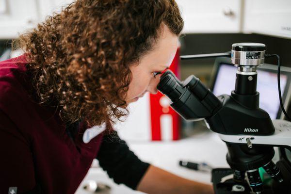 One of our licensed nurses checks a cytology on the microscope.