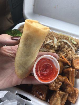 Spring roll and sauce