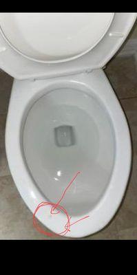 Urine covered toilet