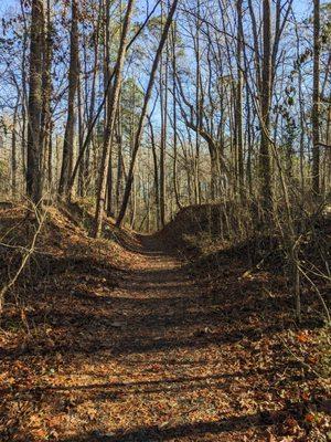 Near the Gaddy Covered Bridge, Mount Gilead