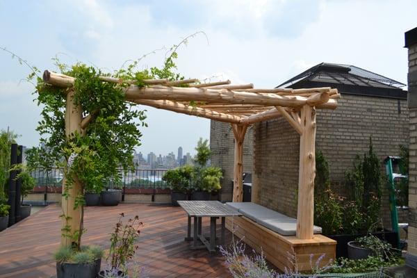 Natural Roof-top pergola.