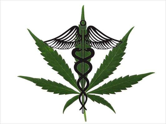 Medical Marijuana Clinic Did you know we are the only Medical Marijuana Clinic in the Belleglade Clewiston Pahokee South Bay Area? Call n