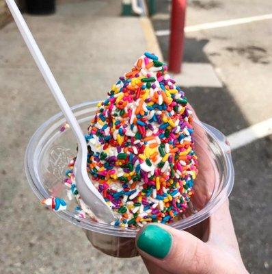 Custard with sprinkles is my favorite at Rita's!