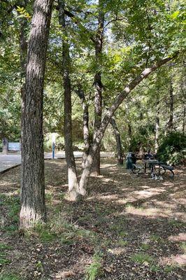 Picnic table and walkway