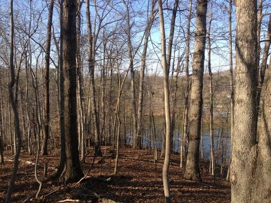 Hydraulic Overlook in early spring