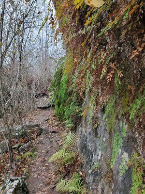 Gorgeous trail