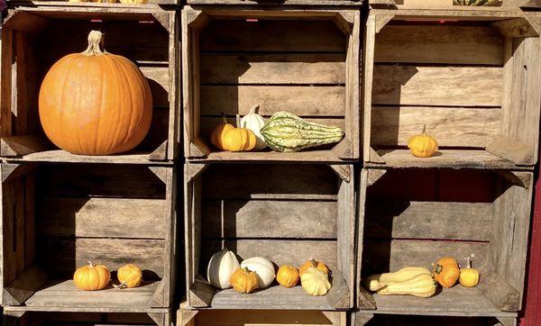 Lansing Farm Market & Greenhouses