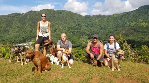 Hiking with Trixie, Rowan, Diesel, Jack, Lucan, and Kona