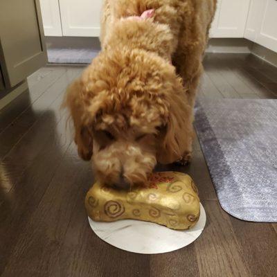 Ella loves the cake.