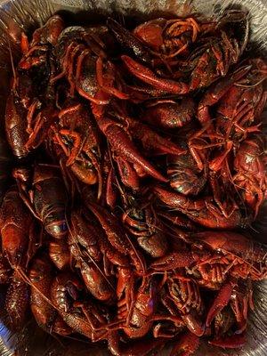 4lbs traditional boiled crawfish. $9.99 2lbs on Tuesday. Clean, big, fresh but a bit too salty