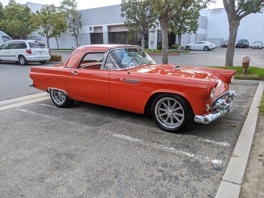 1955 Thunderbird