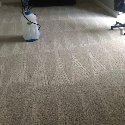 Best Carpet Cleaner In Birmingham AL