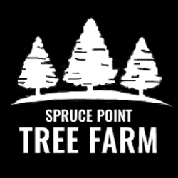 Spruce Point Tree Farm