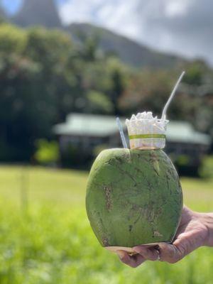 Chilled Fresh coconut with meat