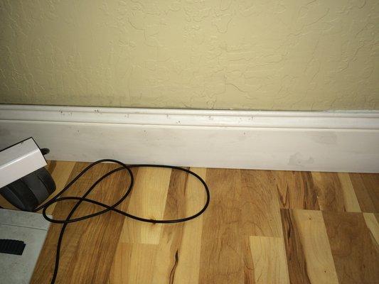 All baseboards have tons of little holes and scratch marks - damaged.