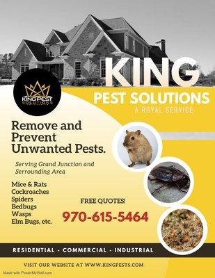 King Pest Flyer