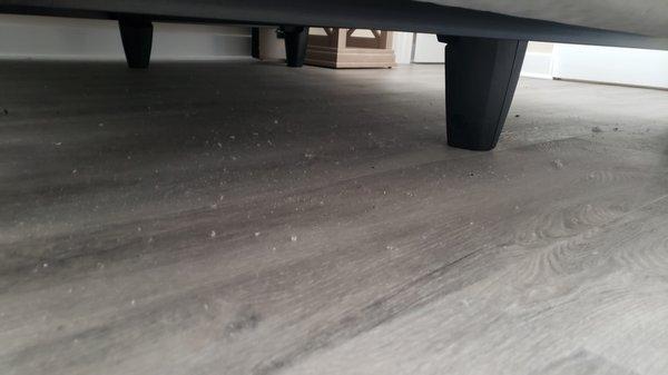 so much dust under each bed