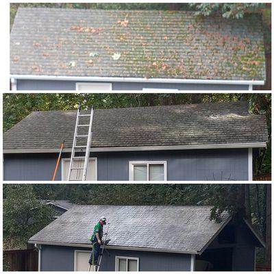 Roof Cleaning