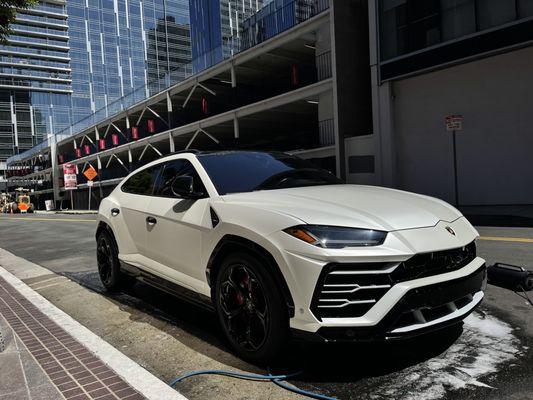 Lamborghini Urus wrapped in Satin white!