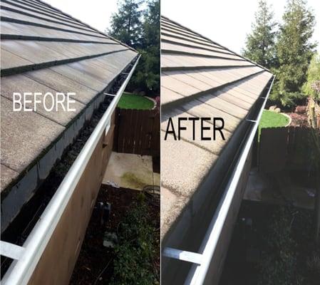 Clean Gutters