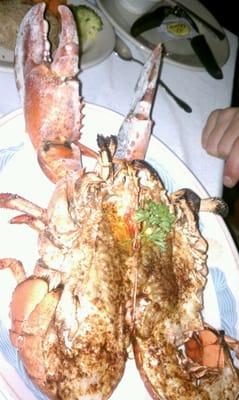 2Lb Lobster Dinner, Delish