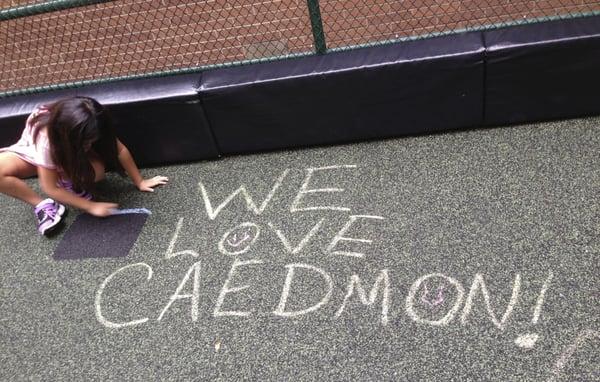 The Caedmon School Discovery Camp