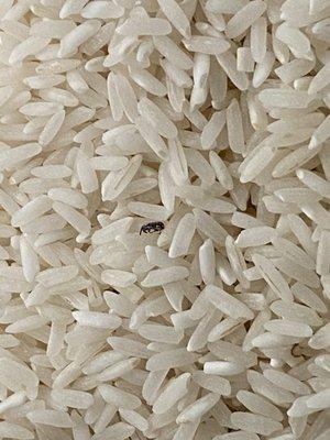 Bought a 50lb Bag Lucky Brand Rice and found live bugs crawling. Poor customer service they did not acknowledge any service.