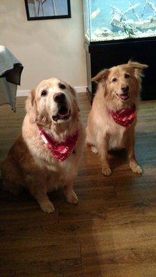 Amber & DJ ready for Valentines Day