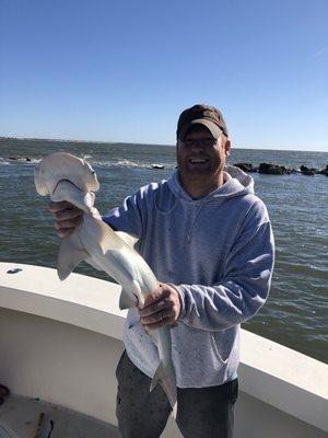 Bonnet head shark!  www.exclusivefishingcharters.com