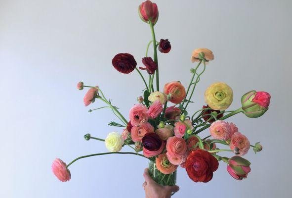 ranunculus and tulips.