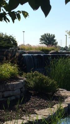 Had not noticed this beautiful pond and waterfall at the Taylor Station Rd. Midwest Retina office before.