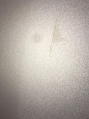 Mold growing on ceiling