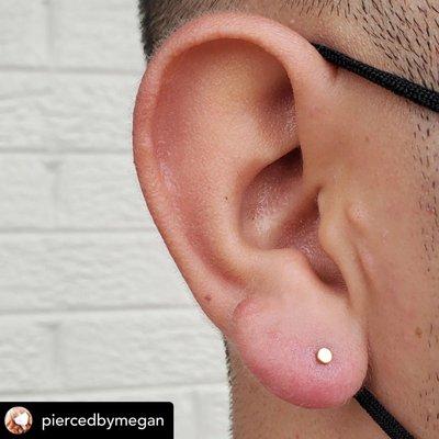 Megan Bradley lobe piercing gold disc jewelry