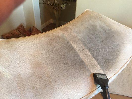 Upholstery Cleaning