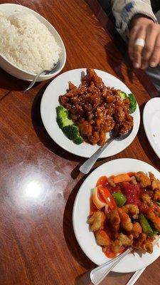 Hot & sour chicken, 606. Sesame Chicken with steamed rice