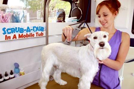 Scrub A Dub Mobile Dog Grooming