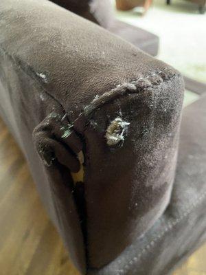 Damage to sofa