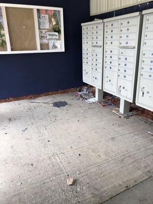 Where we get our mail. Broken glass and garbage.